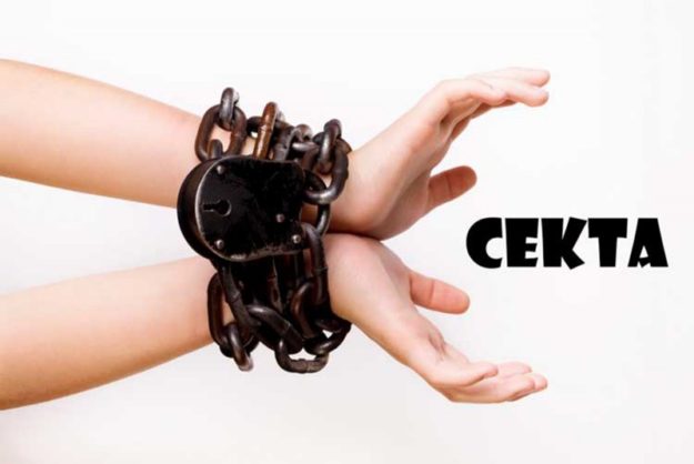 секта секта