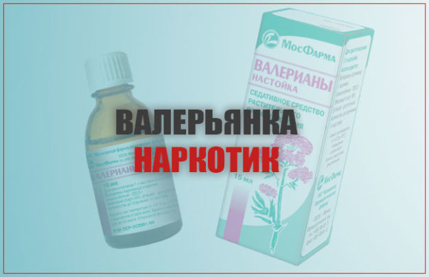 валерьянка валерьянка